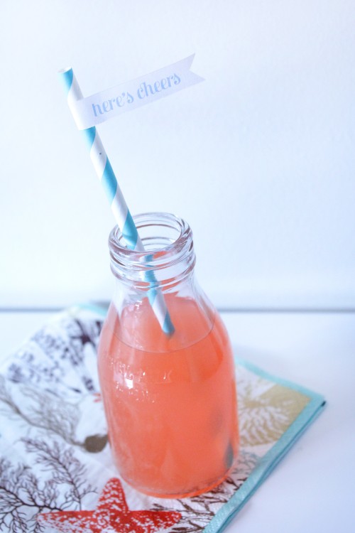 Free DIY Printable Drink Flags - Polka Dot Wedding
