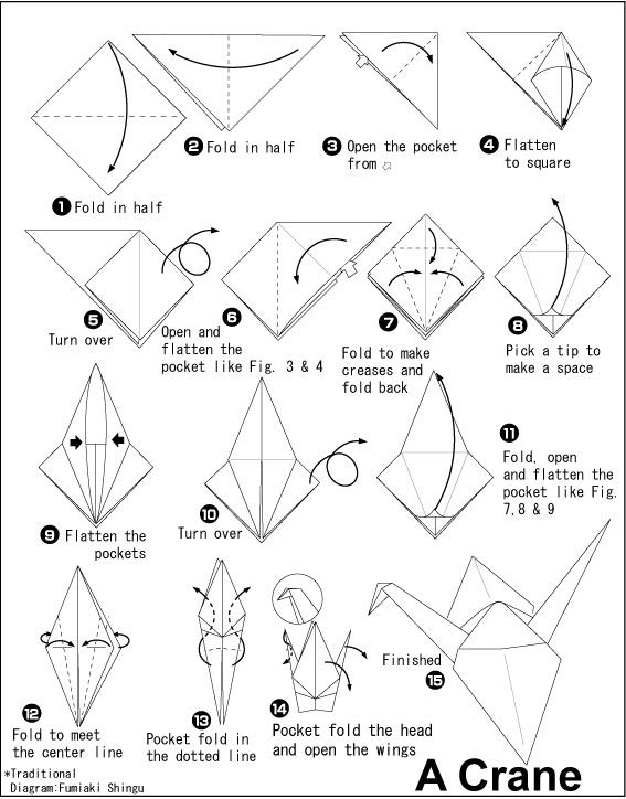 Origami Crane