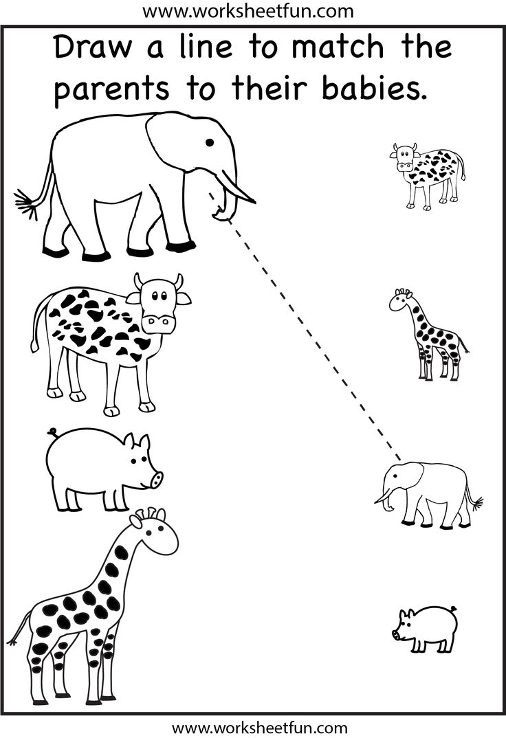 Preschool Worksheets / FREE Printable Worksheets