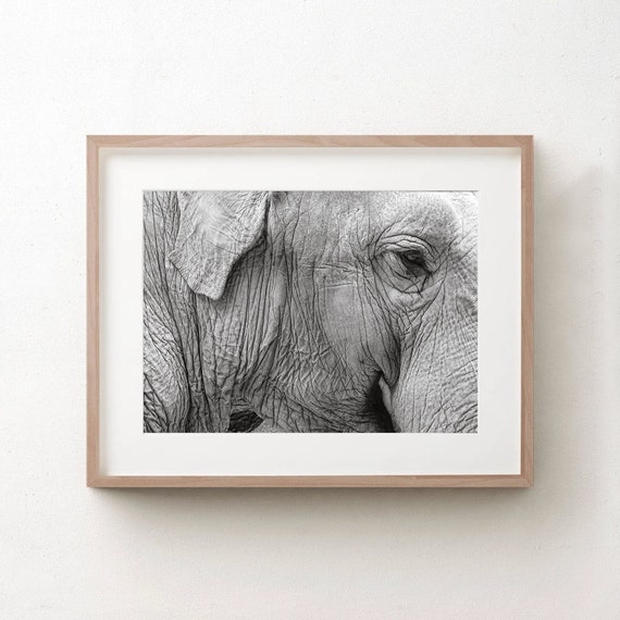 Elephants Black and White Photography Printable, Elephants Wall ...