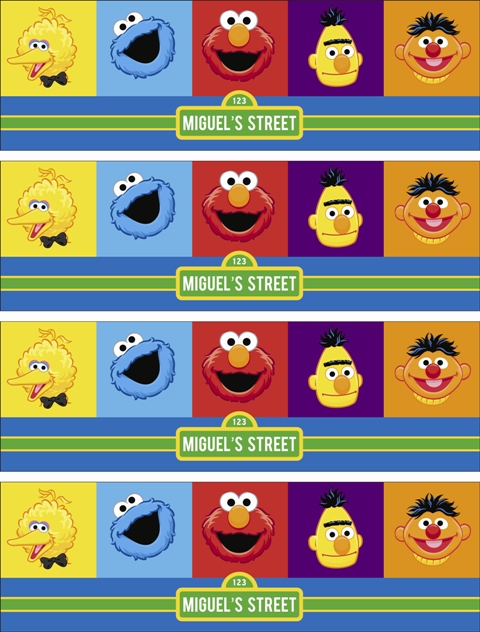 Miguels Sesame Street Themed Party | MonoPrints