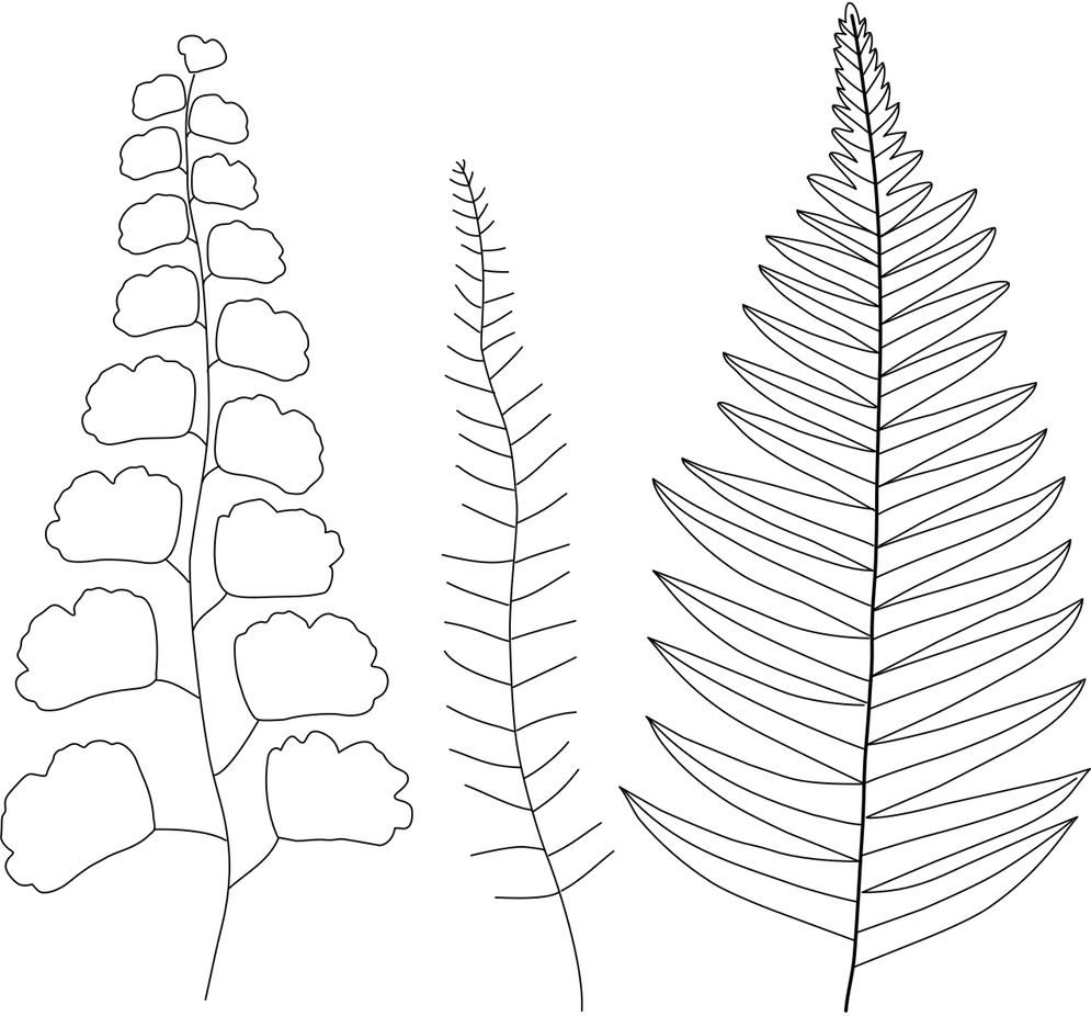 printable embroidery patterns free