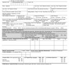 printable employment application in spanish