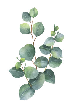 Eucalyptus Print Images - Browse 56,205 Stock Photos, Vectors, and ...