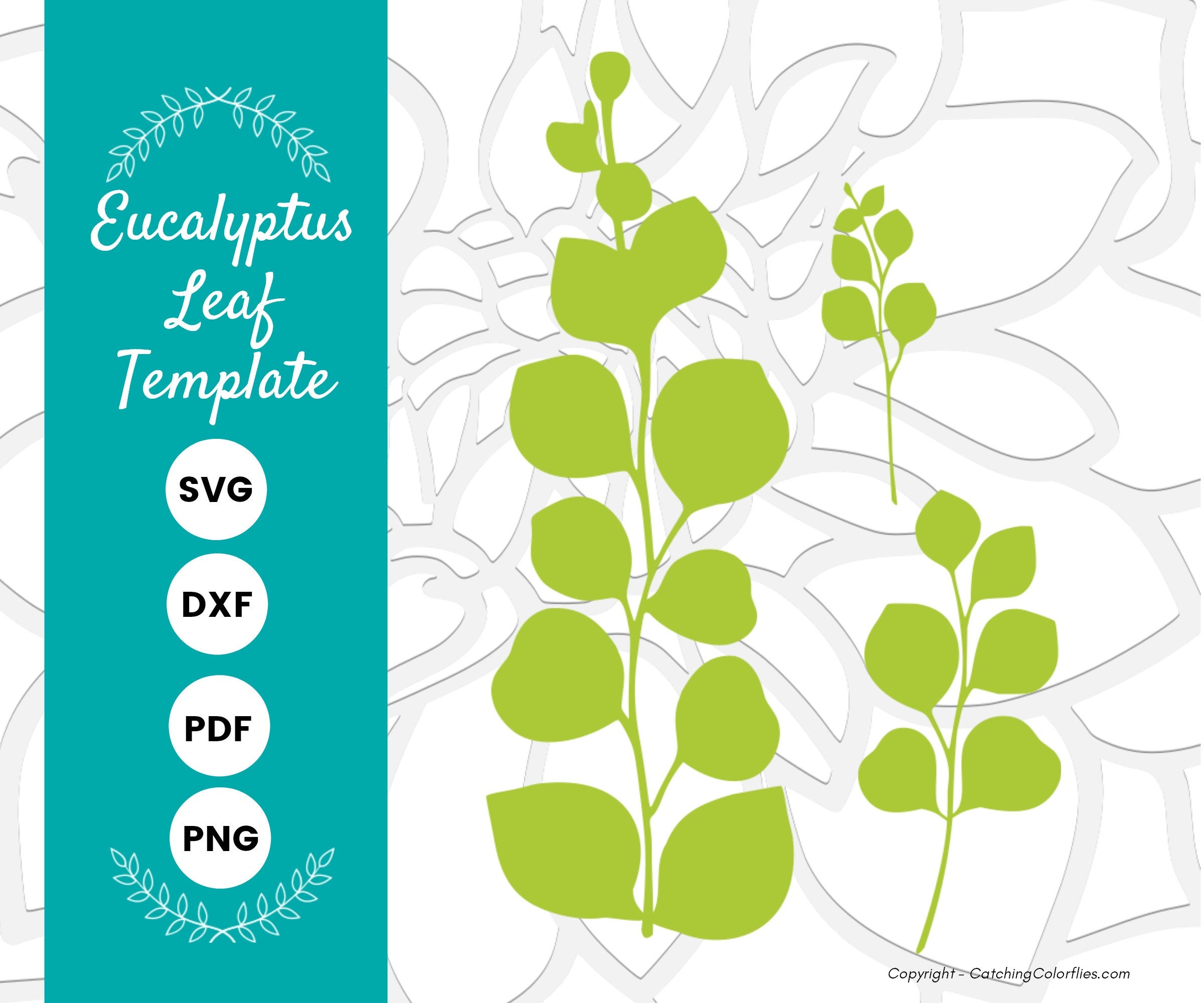 Eucalyptus Paper Leaf Template, Eucalyptus Vine Svg, Eucalyptus ...
