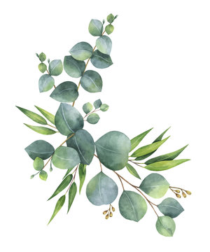 Eucalyptus Print Images - Browse 56,205 Stock Photos, Vectors, and ...