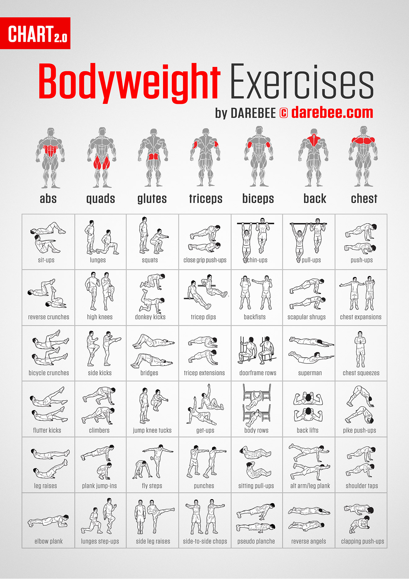 Muscle Map