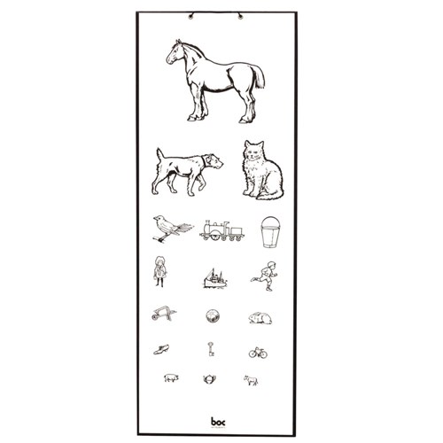Eye Chart Child Standard Animal 6 Metres - SSS Australia - SSS ...