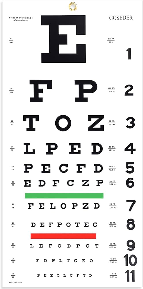 Snellen Eye Chart, Eye Charts for Eye Exams 20 Feet 22×11 Inches, Low  Vision Eye Test Charts for Wall Décor Kids Gifts