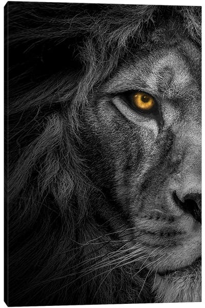 printable eyes black and white