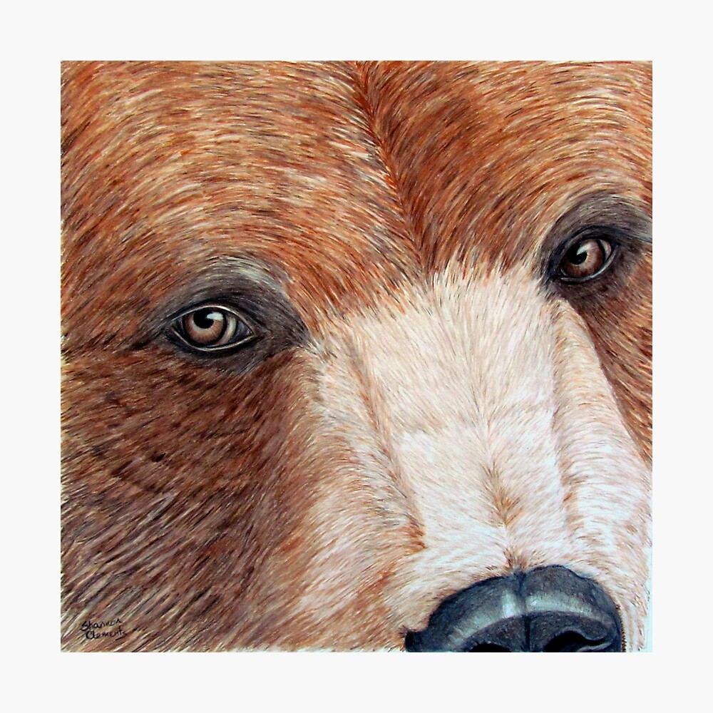 Crochet Teddy Bear- a free pattern - The Friendly Red Fox %