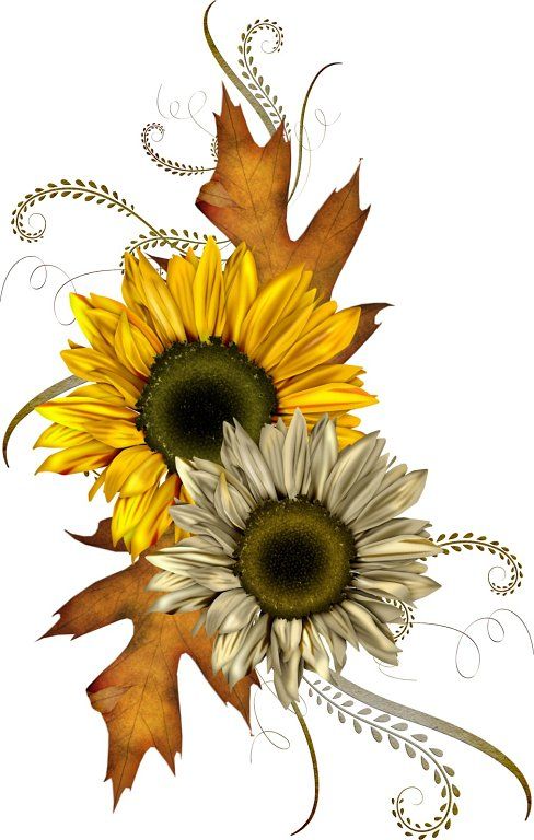 printable fall flowers
