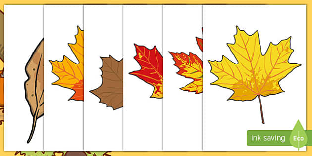printable fall leaves in color