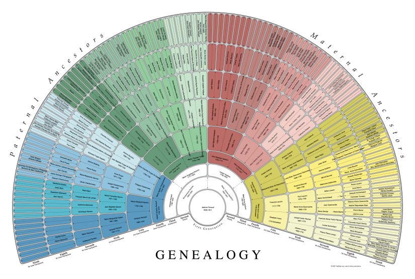 Creating Free, Beautiful Charts on TreeSeek - the genealogy girl