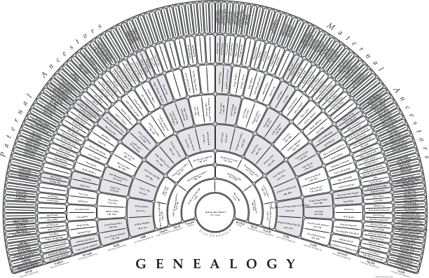 Genealogy Charts - TreeSeek.com