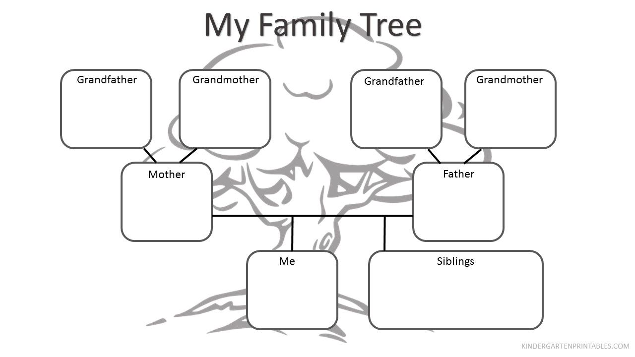 printable family tree for kindergarten