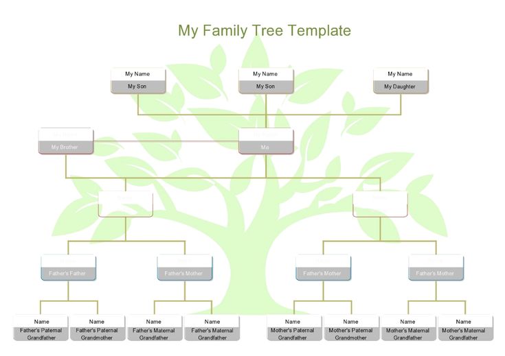 30 Editable Family Tree Templates [100% Free] - TemplateArchive