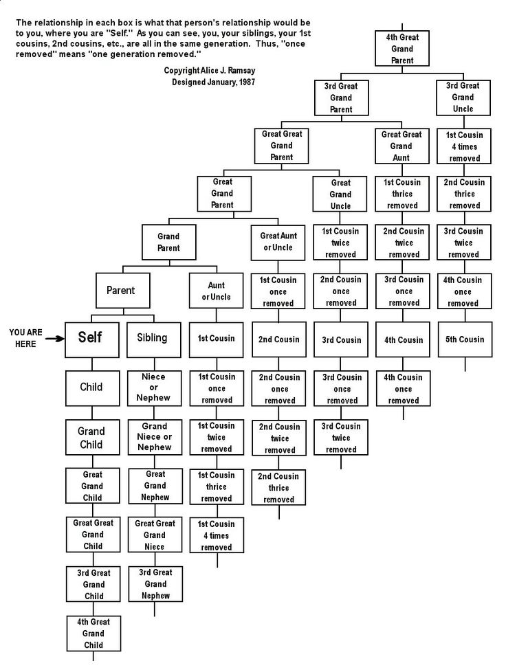 printable family tree labels