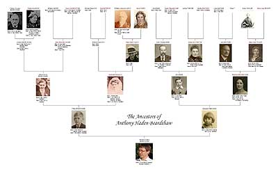 Family Tree Printing Service