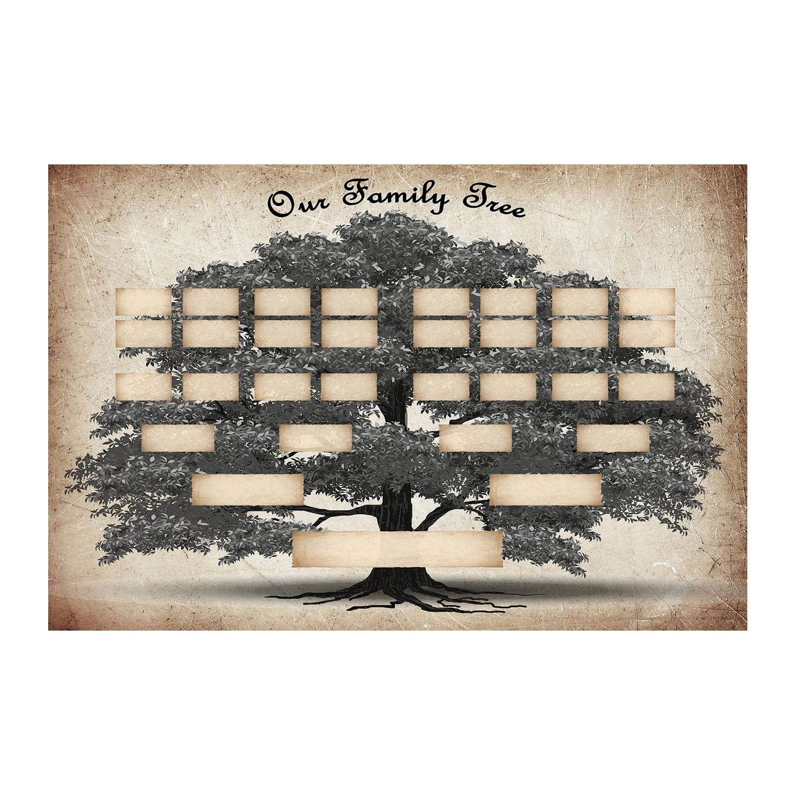 favourall Family Tree Chart 6 Generation Genealogy Poster, Family ...