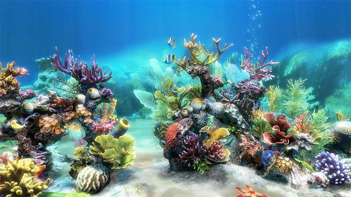 Stone 3D Print Background Wallpaper for Aquarium Fish Tank ...
