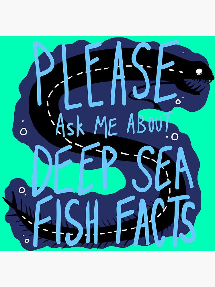 Shark Information for Kids - Free Shark Printables - Natural Beach ...