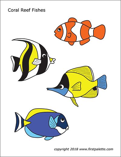 Coral Reef Fishes | Free Printable Templates &  Coloring Pages