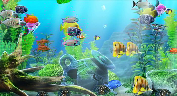 72-best-aquarium-backgrounds-worksheets-library for Fish Tank Background Printable Free Printable Aquarium Backgrounds 72+ Best Aquarium Backgrounds - Worksheets Library for Fish Tank Background Printable Free Printable Aquarium Backgrounds