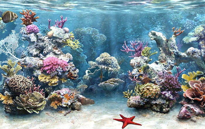 72+ Best Aquarium Backgrounds