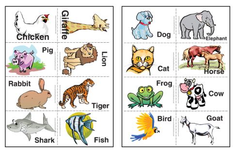 Animal Flash Cards - 10 Free PDF Printables | Printablee