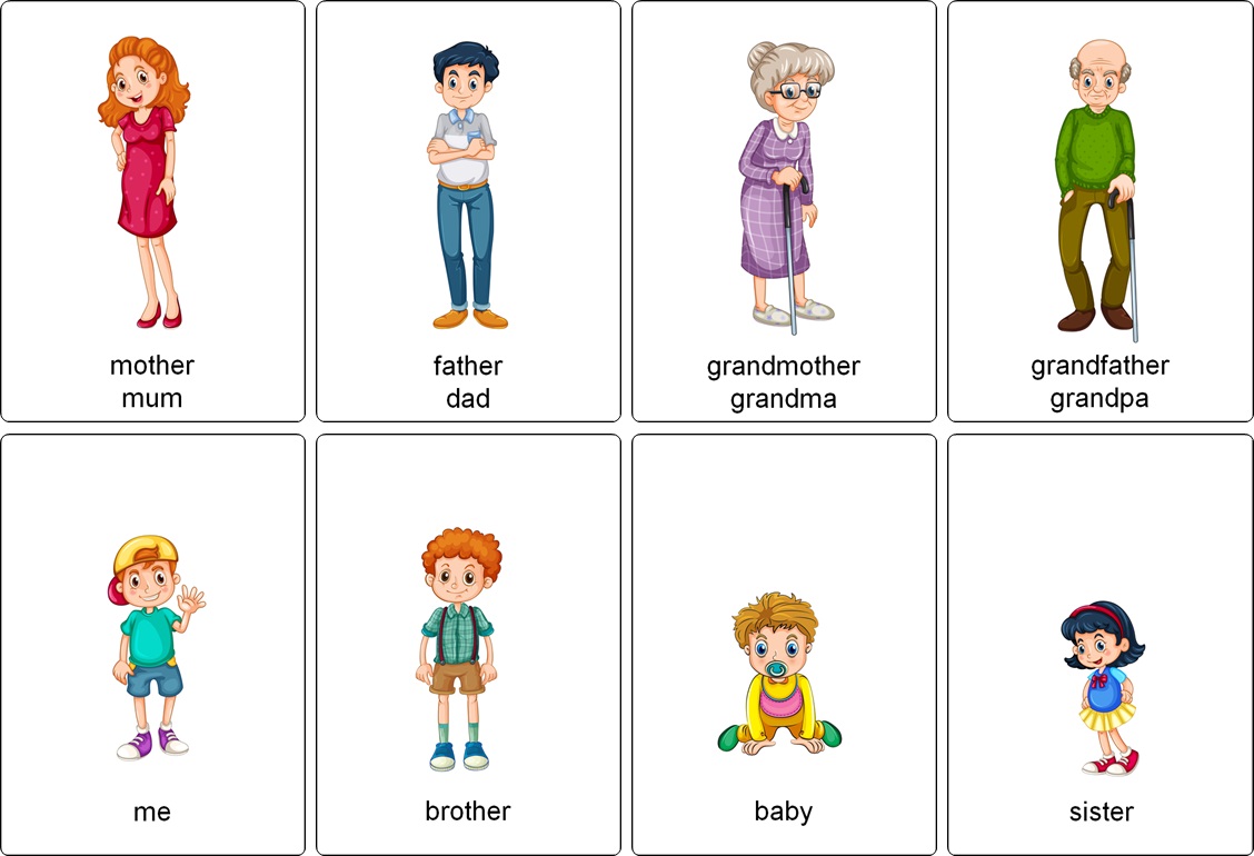 printable flashcards english vocabulary