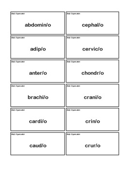 Medical Terminology Flash Cards- Body Organization