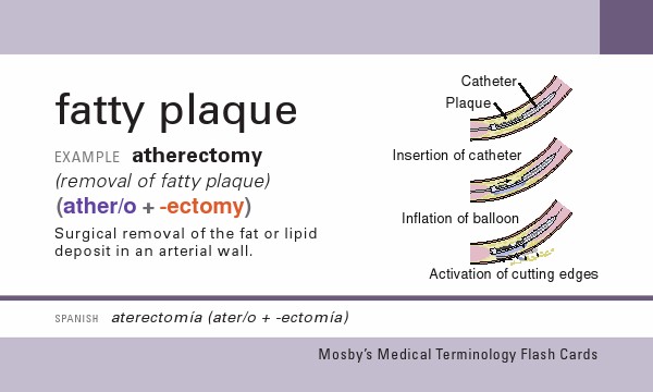 printable flashcards medical terminology