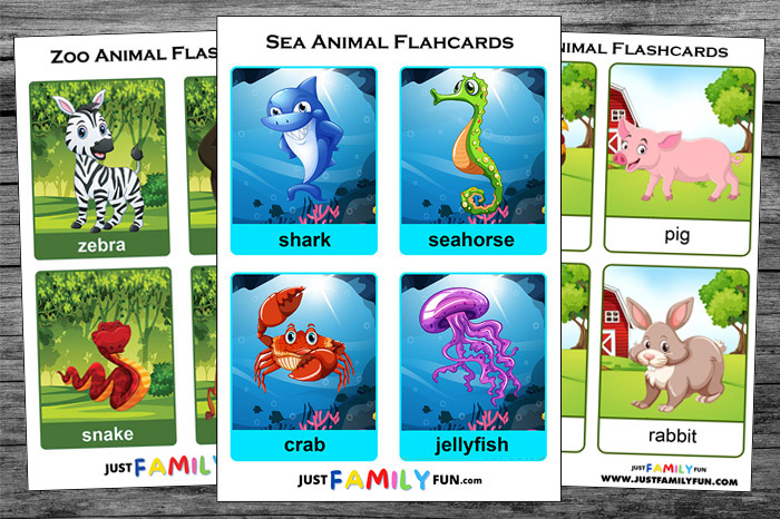 Free Printable Flash Cards For Kindergarten &amp; Preschool | Just ...