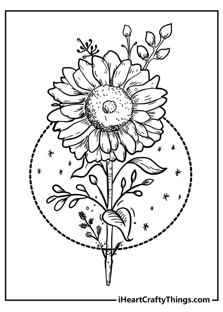 All New Flower Coloring Pages 2024 (100% Free Printables)