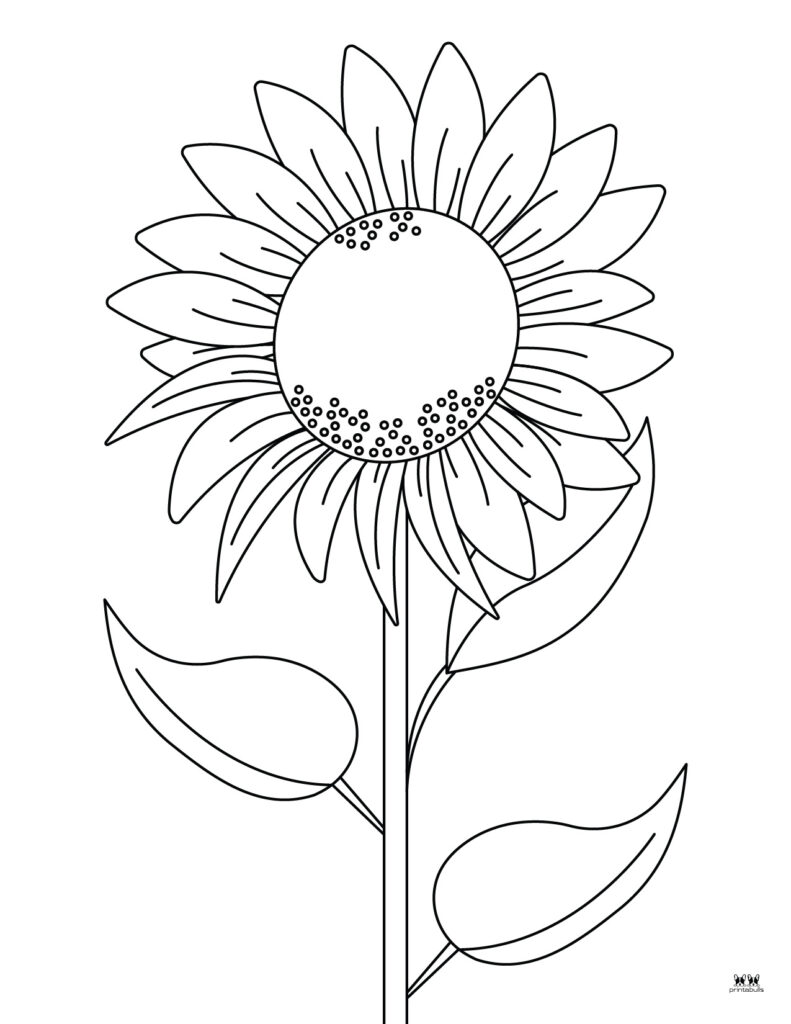 printable flower coloring pages pdf