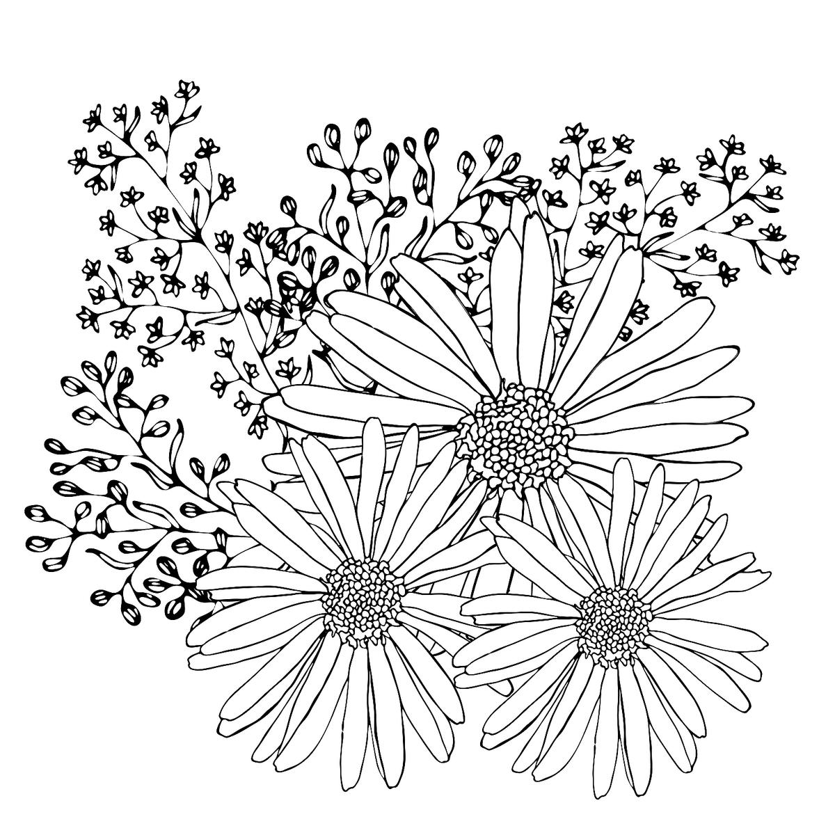 Spring Flowers Coloring Pages: Free Printable Coloring Pages of ...