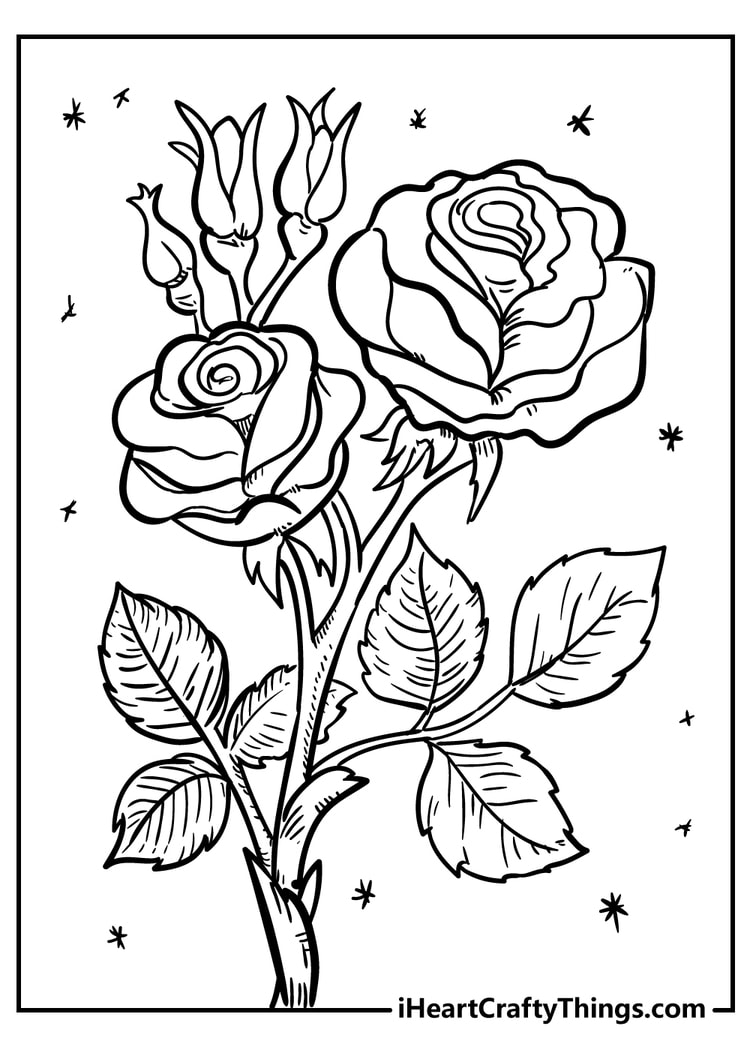 All New Flower Coloring Pages 2024 (100% Free Printables)