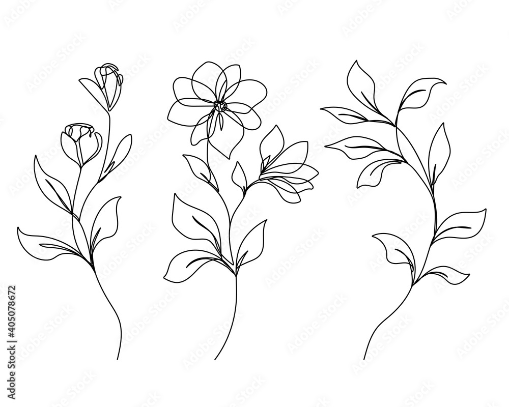 Flowers and Leaves Vector One Line Drawing Set. Botanical Modern ...