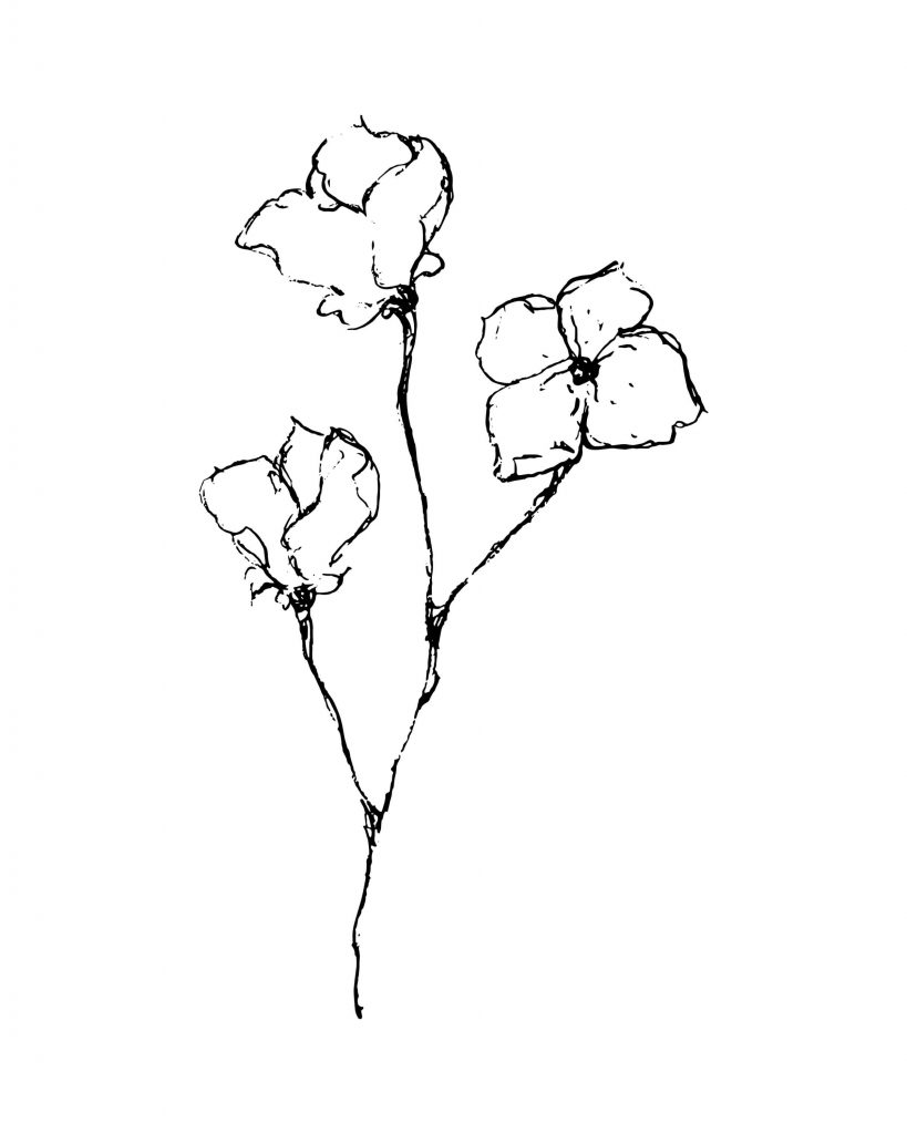 printable flowers black and white