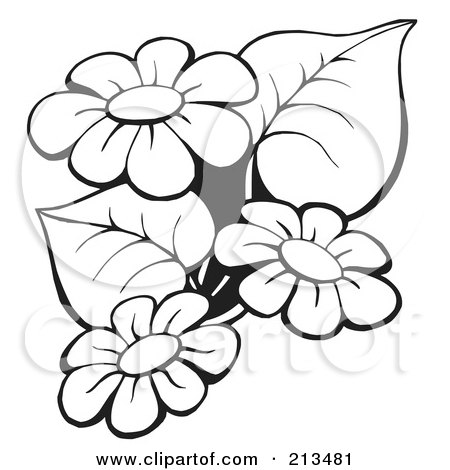 printable flowers black and white