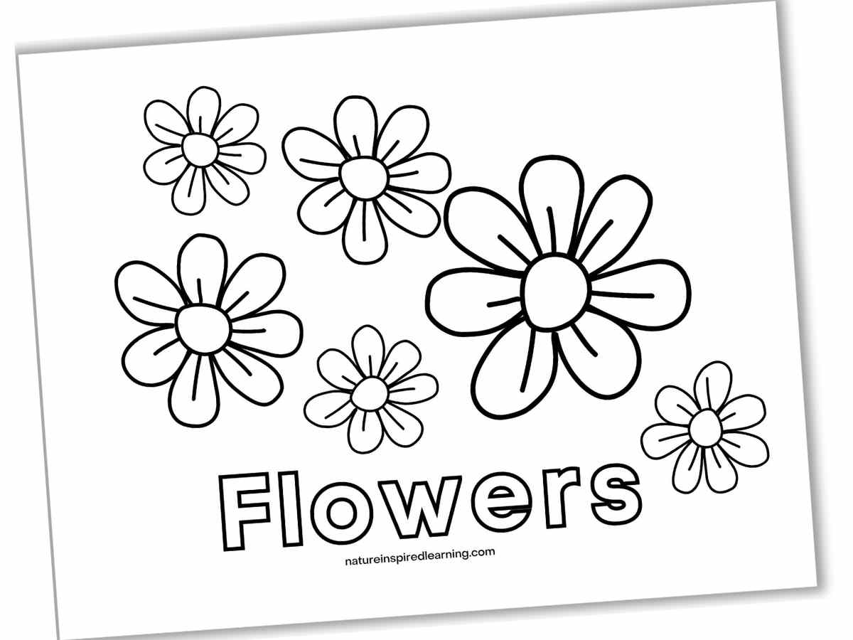 printable flowers black and white