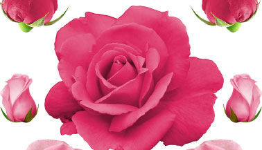 printable flowers for decoupage