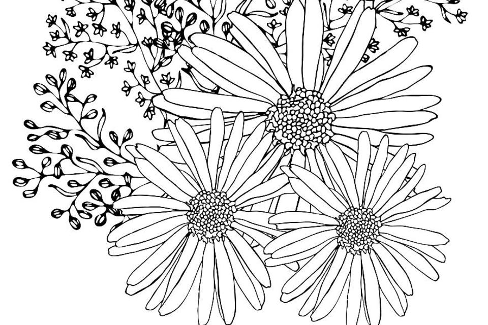 Spring Flowers Coloring Pages: Free Printable Coloring Pages of ...