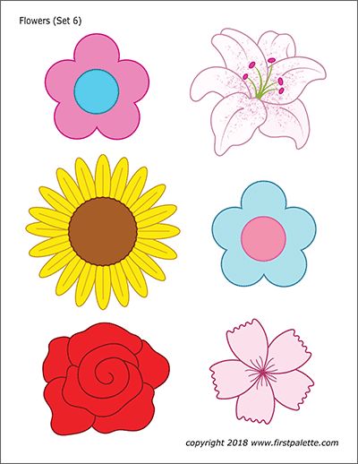 printable flowers in color
