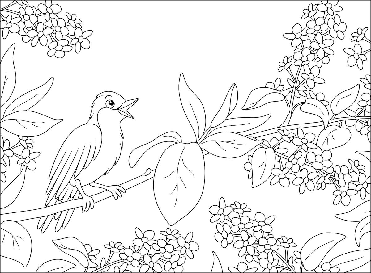 printable flowers to color