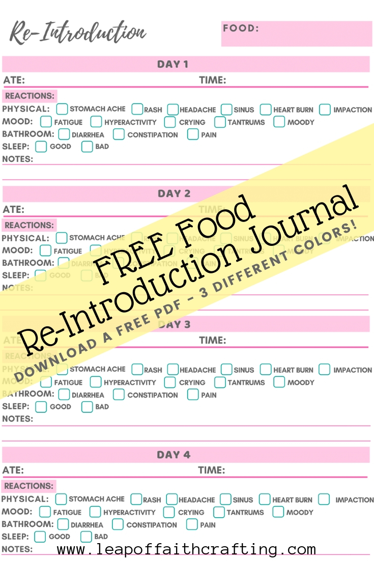 FREE Food Diary PDF 2024: Free Printable to Keep Track of Your Food!