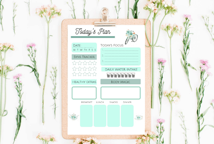Slimming World Daily Food Diary Printable.... | The Diary of a ...