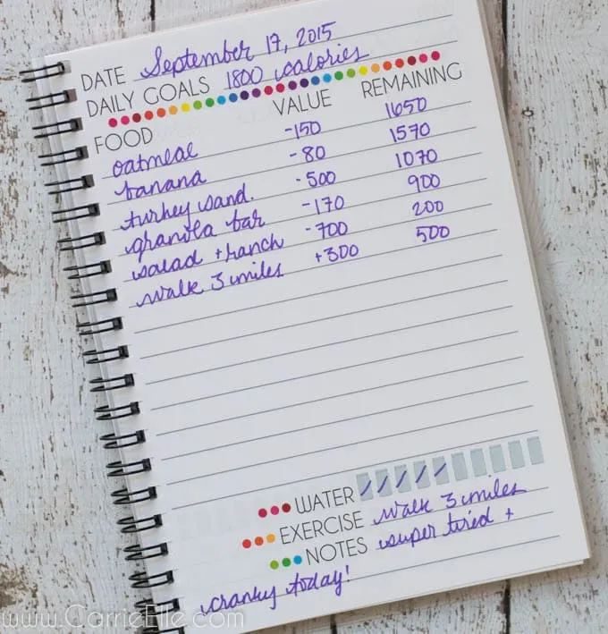 printable food journal for weight watchers