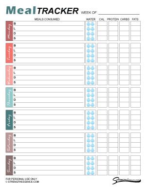 printable food journal pdf
